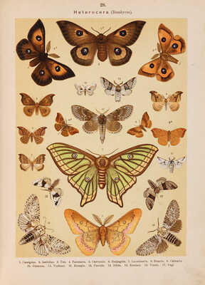 Гофман Э. Атлас бабочек Европы и отчасти русско-азиатских владений. СПб.: Издание А.Ф. Девриена, 1897.